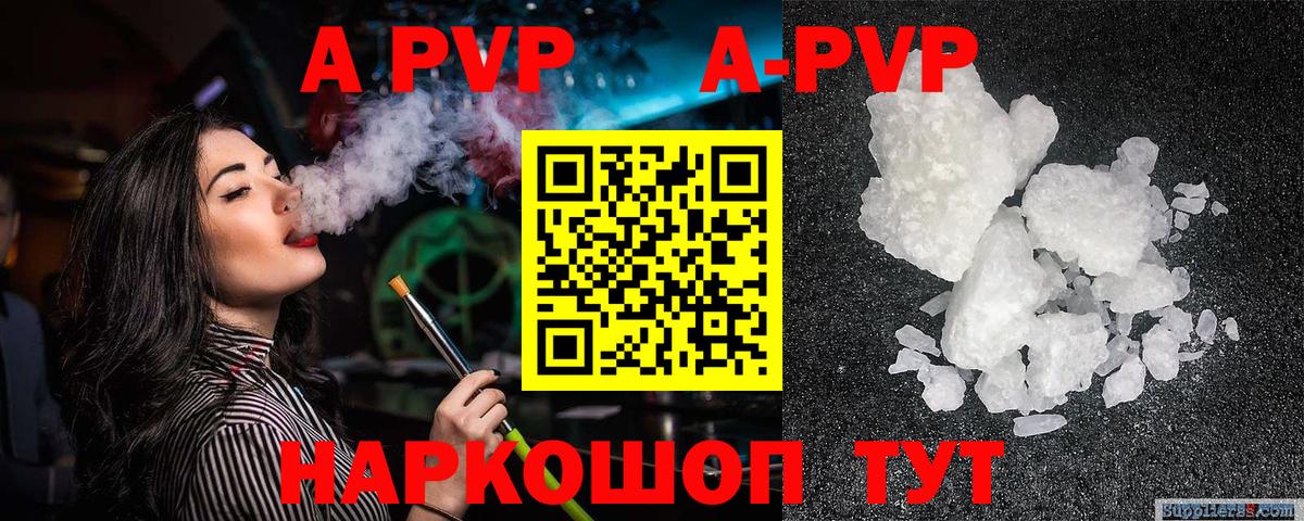 A PVP СК Сальск