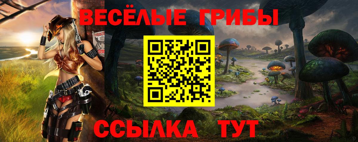 Галлюциногенные грибы Cubensis  Псилоцибиновые грибы Psilocybine cubensis  Вход с VPN  Сальск 